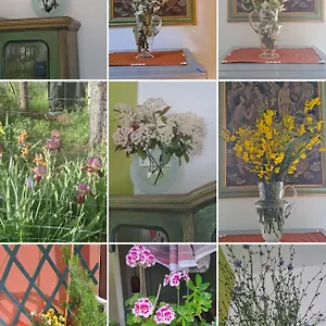  Appartamento La Casa Di Aldo